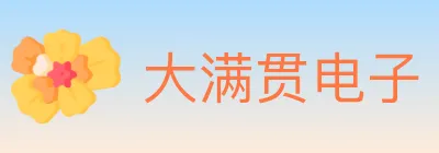 大满贯电子 logo